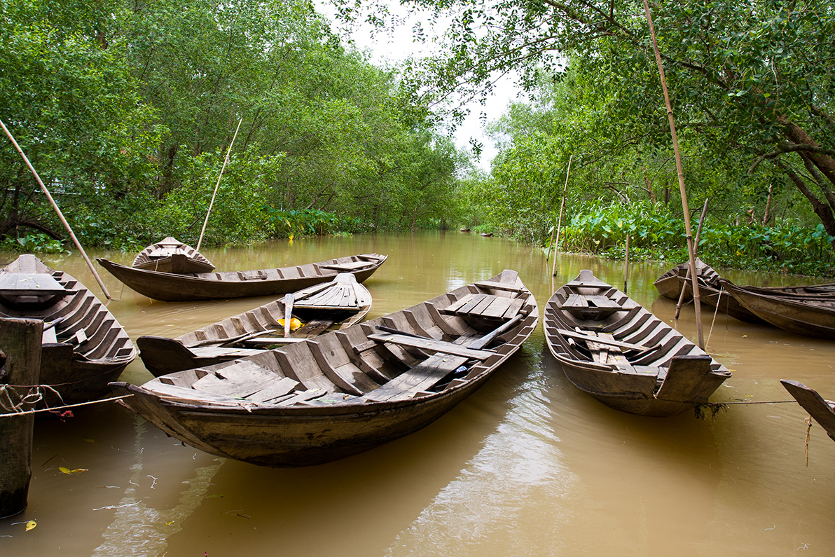 Delta Mekong   013
